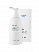 Шампунь для волос травяной Atomy Herbal Hair Shampoo