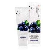 Пилинг-гель с экстрактом черники 3W Clinic Seo Dam Han Blueberry Peeling Gel